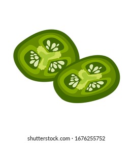 slices of green jalapeno flat vector
