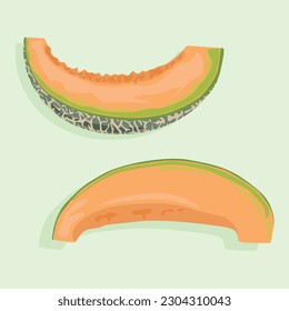 Slices of juicy melon at different angles. Summer fruit icons in vector.