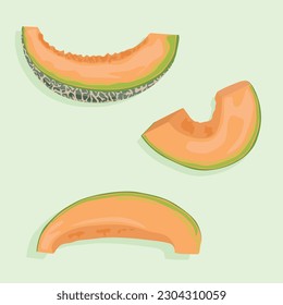 Slices of juicy melon at different angles with peel. Summer fruit icons in vector.