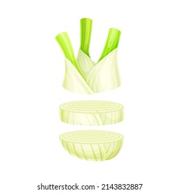 Slices lcelery ying in vertical row. Healthy organic vegetable vector illustration isolated on white background