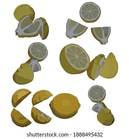 Slices Lemon Fruit Illustration Vector Set Taken Several Angles Isolated On White Background Good To Use For Food Magazine, Brochure And Ingredients