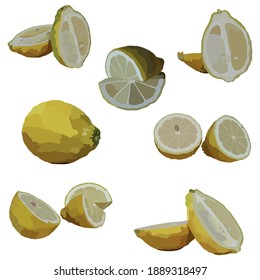 Slices Lemon Fruit Illustration Vektor genommen mehrere Ecken einzeln auf weißem Hintergrund gut zu verwenden für Food Magazine, Broschüren und Zutaten