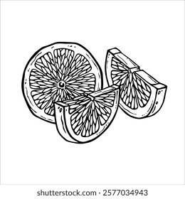 Slices of lemon, lime or other citrus fruit drawn in black and white. Linear drawing of a composition of tropical fruit wedges. Sliced citron in ink graphics for design of menu, packaging, label