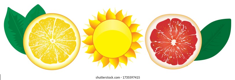 Slices of lemons, grapefruits and sun. Bright yellow lemon, red grapefruit and Sun. The concept of summer, rest on a nice hot day. Vector illustration.