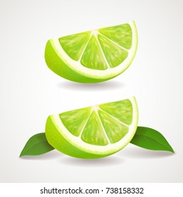 Slices of lime isolated icon. Realistic vector illustration.