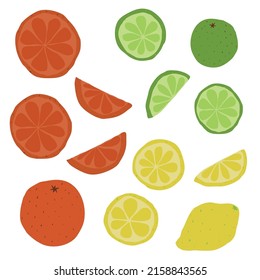 Slices of lime, lemon, orange. Flat style vector illustration.