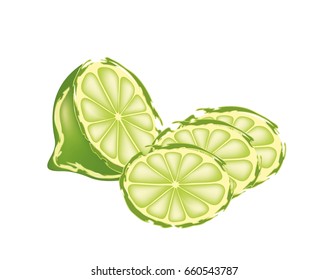 Slices of limes on white background