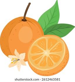 slices of oranges, Orange juice Fruit, Nutritious Orange leaves and flowers