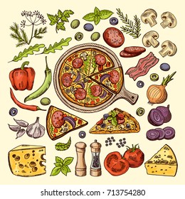 Slices of pizza with cheeses, olives and other ingredients. Vector hand drawn illustrations italian pizza ingredient, vegetable mushroom and garlic