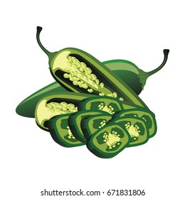 slices of raw green jalapeno pepper. vector illustration