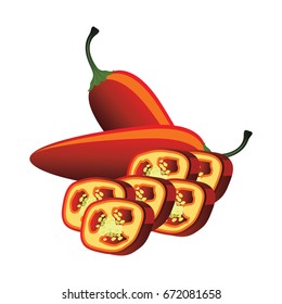 slices of raw red jalapeno pepper. vector illustration