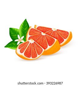 Slices of red orange fruit with leaf and flower isolated on white background. Realistic vector illustration.