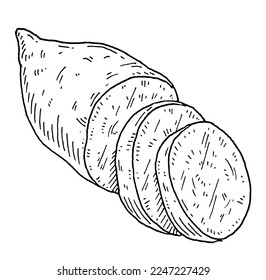 Slices sweet potato. Vintage engraving vector black illustration. Isolated on white background.