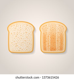 Slices of toast isolated on background. Fresh and toasted bread vector illustration.