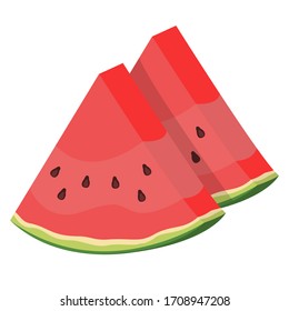 Slices of watermelon. Juicy fruit in cartoon style.