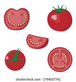 Slicing different slices of fresh tomato. Vector