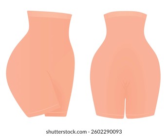 Slim belly underpants vector illustration