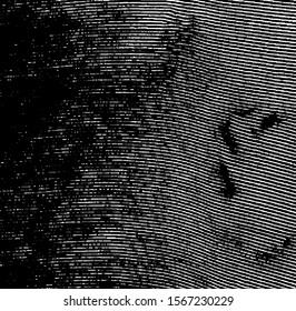 Slim lines texture. Parallel and intersecting lines abstract pattern. Abstract textured effect. Black isolated on white background.Vector illustration. EPS10.