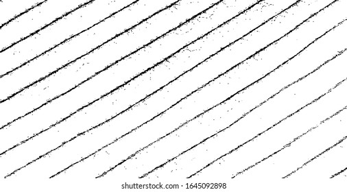 Slim lines texture. Parallel and intersecting lines abstract pattern. Abstract textured effect. Black isolated on white background.Vector illustration. EPS10.