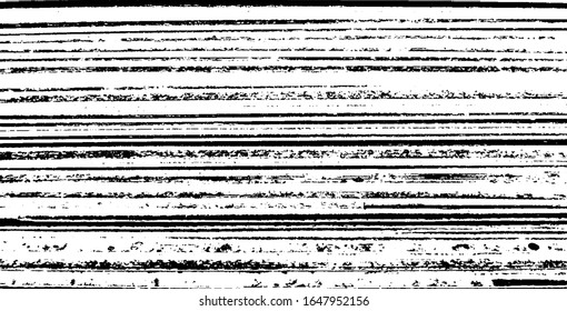 Slim lines texture. Parallel and intersecting lines abstract pattern. Abstract textured effect. Black isolated on white background.Vector illustration. EPS10.