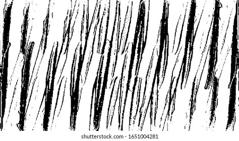 Slim lines texture. Parallel and intersecting lines abstract pattern. Abstract textured effect. Black isolated on white background.Vector illustration. EPS10.