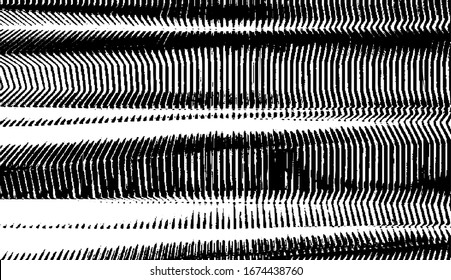 Slim lines texture. Parallel and intersecting lines abstract pattern. Abstract textured effect. Black isolated on white background.Vector illustration. EPS10.