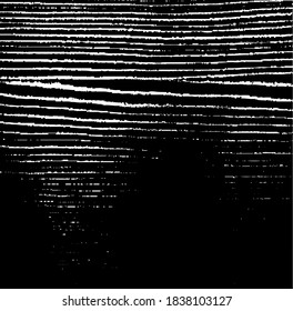 Slim lines texture. Parallel and intersecting lines abstract pattern. Abstract textured effect. Black isolated on white background.Vector illustration. EPS10.