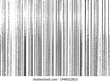 Slim lines texture. Parallel and intersecting lines abstract pattern. Abstract textured effect. Black isolated on white background.Vector illustration. EPS10.