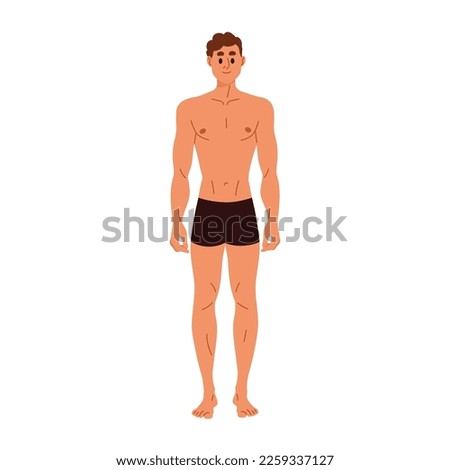 Slim slender man in trunks with nude naked torso. Young male character in underwear with thin healthy sporty body shape, standing portrait. Flat vector illustration isolated on white background