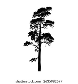 Slim tall pine tree silhouette design