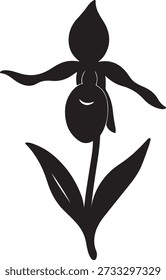 Lady’s Slippd Flower Icon – Vector Illustration