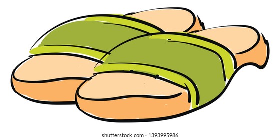 Slippers illustration vector on white background 