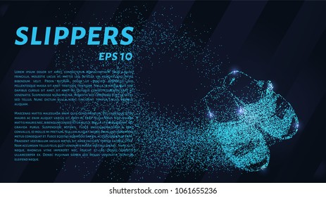 Slippers made of particles. Flip-flops consists of circles and points. Vector illustration