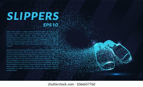 Slippers made of particles. Flip-flops consists of circles and points. Vector illustration