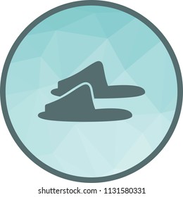 Slippers, pair, home