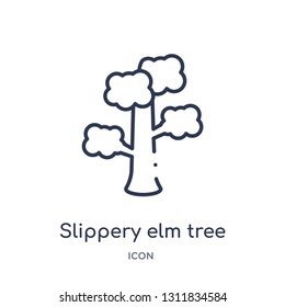 slippery elm tree icon from nature outline collection. Thin line slippery elm tree icon isolated on white background.