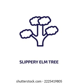 slippery elm tree icon from nature collection. Thin linear slippery elm tree, medical, bio outline icon isolated on white background. Line vector slippery elm tree sign, symbol for web and mobile