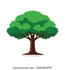 
Slippery Elm, Ulmus rubra tree Nature flat vector illustration on white background.