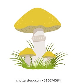 Slippery jack, suillus luteus, edible forest mushrooms. Colorful cartoon illustration