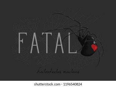 the slogan of the c spider. The inscription in Latin-black widow (spider name).