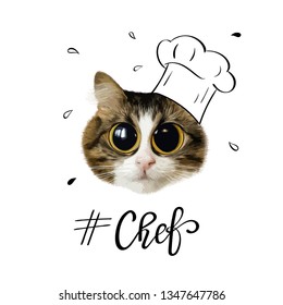 slogan with cat in chef's hat illustration