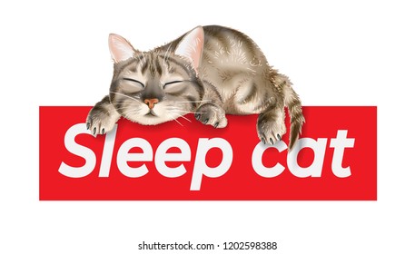 slogan with sleeping cat illustration