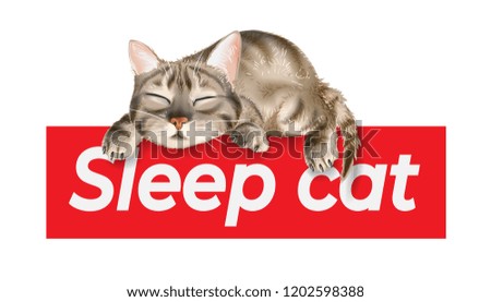 Similar – Cats sleep in a hat