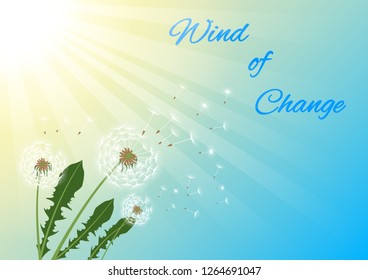 Slogan Wind of Change, dandelions with flying fluff on the blue sky and  sunlight background. Vector Illustrations