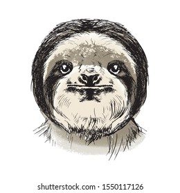 Sloth adult sketch in color, portrait black and white