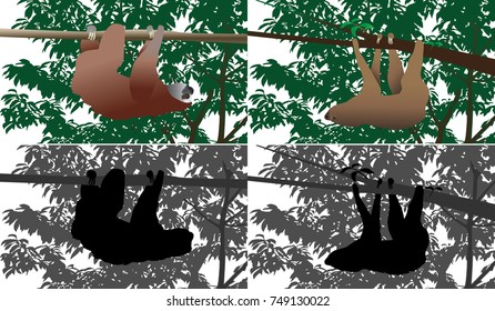 Sloth against the background of tree. Colour and black-and-white vector.