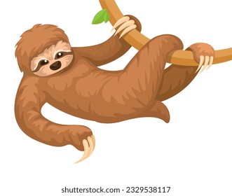 Sloth Animal Creature Character Cartoon illustration Vector