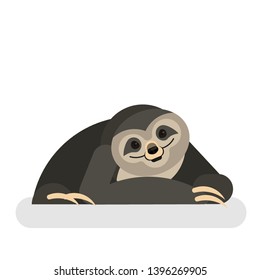 Sloth animal. Cute funny jungle creature. Lazy slow bear. Wild mammal. Isolated vector illustration in cartoon style