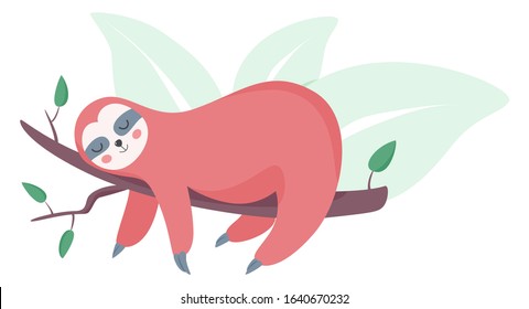 Sloth animal sleep. Cute funny jungle creature. Lazy slow bear. Wild mammal. Isolated vector illustration in cartoon style