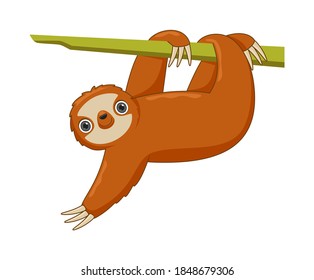 Sloth animal standing on a white background. Cartoon style vector illustration